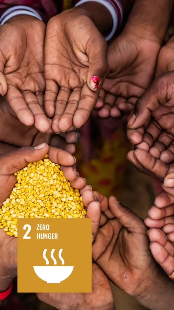 Several hands of children reaching out to hold yellow lentils, representing the United Nations' Sustainable Development Goal 2: Zero Hunger.